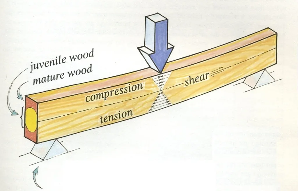 Advanced Mechanical Reinforcement